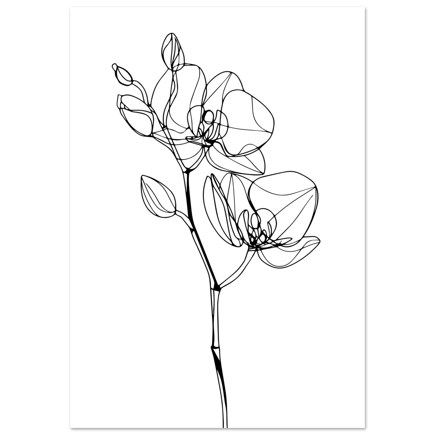 b5f91d4d-3e63-4fa6-b952-d04491587618